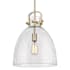 Innovations Lighting Newton Bell 14" Wide Pendant with Clear, Seedy Glass Shade Champagne Bronze