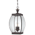 James Allan Barber 3 Light 9" Wide Outdoor Pendant Lantern with Clear Glass Medici Bronze