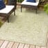 JONATHAN Y Lighting 4' x 6' Polypropylene Vintage Indoor/Outdoor Rectangular Area Rug Green / Cream
