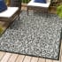 JONATHAN Y Lighting 4' x 6' Polypropylene Vintage Indoor/Outdoor Rectangular Area Rug Light Gray / Black