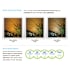 Kichler-18072-Beam and Color Options
