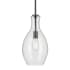 Kichler Everly 9" Wide Mini Pendant Black / Clear