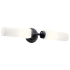 Kichler Truby 2 Light 21" Wide Bath Bar Black