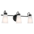 Kichler Erma 3 Light 23" Wide Vanity Light Black