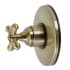 Finish: Antique Brass