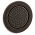 Oil Rubbed Bronze (2BZ)