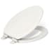 Kohler Stonewood Elongated Toilet Seat with Quiet-Close Biscuit