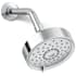 Polished Chrome