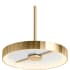 22520-PELED in Modern Brushed Gold - Alternate Angle