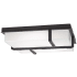 Ceiling Flush Mount