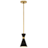Pendant with Canopy