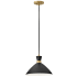 Pendant with Canopy BK-HB