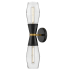 Lark Livie 2 Light 22" Tall Wall Sconce with Clear Glass Shades Black