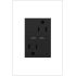 Legrand adorne 15 Ampere Tamper Resistant Electrical Outlet with Power Delivery USB-C Ports Graphite