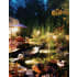 Lithonia Lighting-OLBS 8 M6-Outdoor Application Image 2