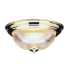 Polished Brass