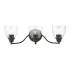 Livex Lighting Montgomery 3 Light 23" Wide Commercial Vanity Light Black