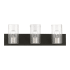 Livex Lighting Zurich 3 Light 24" Wide Commercial Vanity Light Black / Brushed Nickel Accents