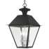 Livex Lighting Mansfield 4 Light 15" Wide Outdoor Taper Candle Pendant Black