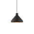 Livex Lighting Single Light 11" Wide Pendant Black