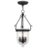 Livex Lighting Jefferson 3 Light Mini Pendant Black