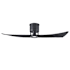 Matthews Fan Company Lindsay 52" 2 Blade Indoor LED Ceiling Fan with Remote Control Matte Black