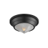 Maxim Hargreaves 10" Wide Flush Mount Ceiling Fixture Black