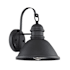 Meridian Single Light 12" Tall Outdoor Wall Sconce Matte Black