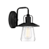 Meridian Single Light 11" Tall Outdoor Wall Sconce Matte Black