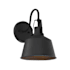 Meridian 12" Tall Outdoor Wall Sconce with 10-1/2" Extension Matte Black
