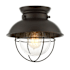 Meridian Single Light 9" Wide Flush Mount Lantern Ceiling Fixture Oil Rubbed Bronze