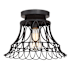 Meridian Single Light 12" Wide Flush Mount Ceiling Fixture Oil Rubbed Bronze