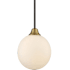 Meridian Single Light 8" Wide Mini Pendant Oiled Rubbed Bronze / Brass