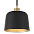 Meridian 9" Wide Mini Pendant Matte Black / Natural Brass