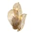 Metropolitan Orchid 3 Light 18" Tall Wall Sconce with Hand Blown Glass Legacy Brass / Amber