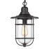 Millennium Lighting 10" Wide Outdoor Cage Pendant Powder Coat Black