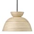 Millennium Lighting Jaycen 16" Wide Pendant Matte Black