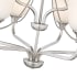 Alternate Image