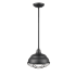 Millennium Lighting 10" Wide Pendant Matte Black