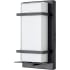 Millennium Lighting 11" Tall LED Outdoor Wall Sconce with Frosted Glass Shade - ADA Compliant Powder Coated Black