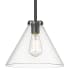 Millennium Lighting Aliza 11" Wide Pendant Matte Black