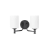 Millennium Lighting Ailey 2 Light 15" Wide Vanity Light with Frosted Glass Shades Matte Black