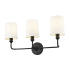Millennium Lighting Leena 3 Light 22" Wide Vanity Light Matte Black