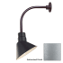 Millennium Lighting-RAS10-RGN12-Fixture with Galvanized Finish Swatch