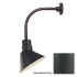 Millennium Lighting-RAS10-RGN12-Fixture with Satin Black Finish Swatch