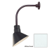 Millennium Lighting-RAS10-RGN12-Fixture with White Finish Swatch