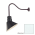 Millennium Lighting-RAS10-RGN23-Fixture with White Finish Swatch