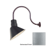 Millennium Lighting-RAS10-RGN24-Fixture with Galvanized Finish Swatch
