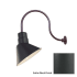 Millennium Lighting-RAS10-RGN24-Fixture with Satin Black Finish Swatch