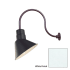 Millennium Lighting-RAS10-RGN24-Fixture with White Finish Swatch